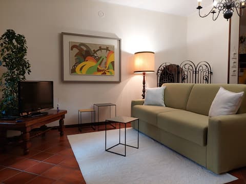Proprietà Airbnb di successo: Apartment in villa on Lake Garda a Toscolano Maderno