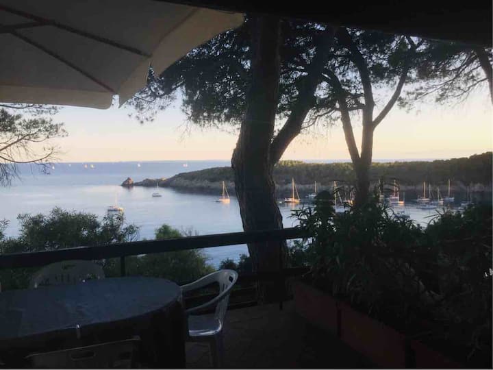 Week of relaxation on the Gulf of Fetovaia Elba Houses for Rent in