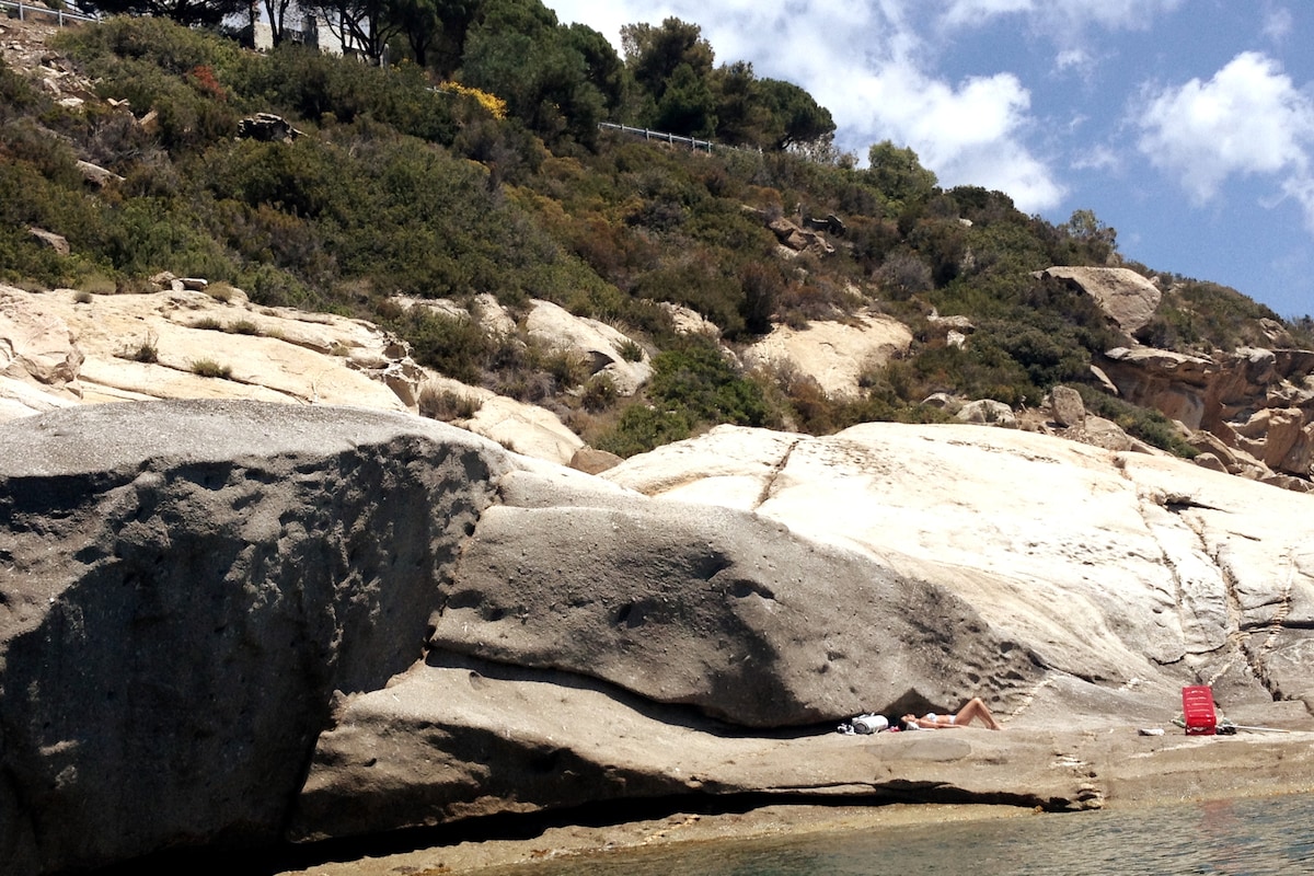 A rocky coastal landscape is visible, featuring large stone formations by the water's edge. Lush greenery is seen in the background, with a gentle slope leading up to a forested area. Sunlight illuminates the scene, creating a serene and natural environment.