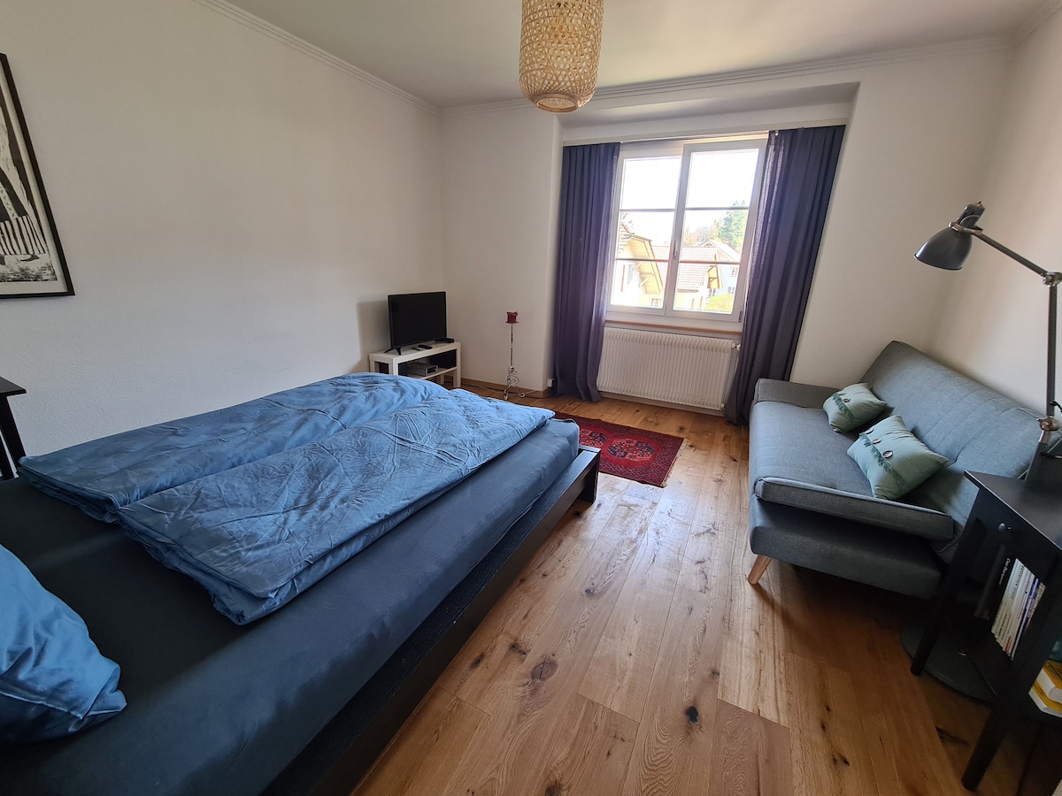 Spavaća soba: bračni krevet s kaučem i televizorom