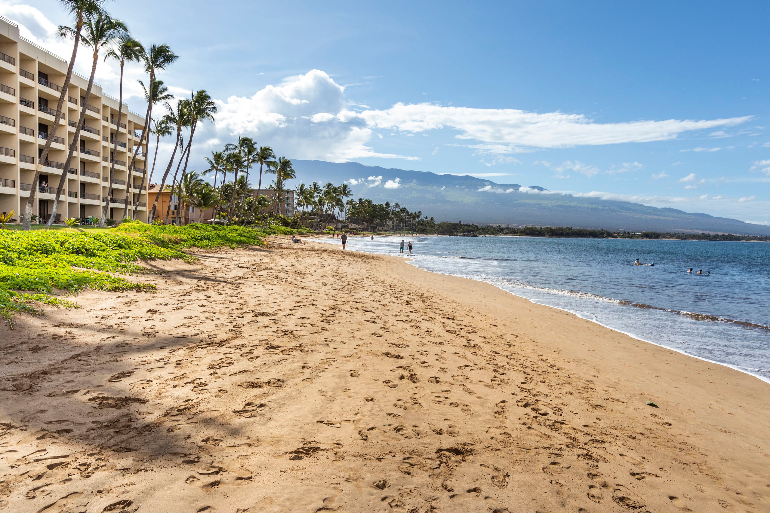 Condo in Kihei · ★5.0 · 1 bedroom · 1 bed · 1 bath - Image 18