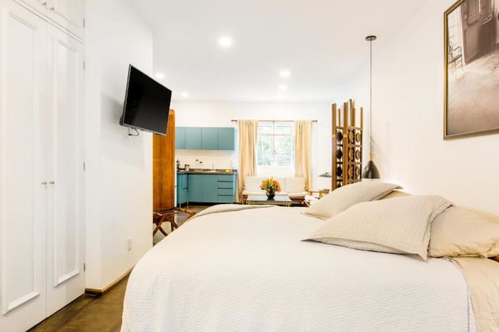 Park View high ceiling apartment