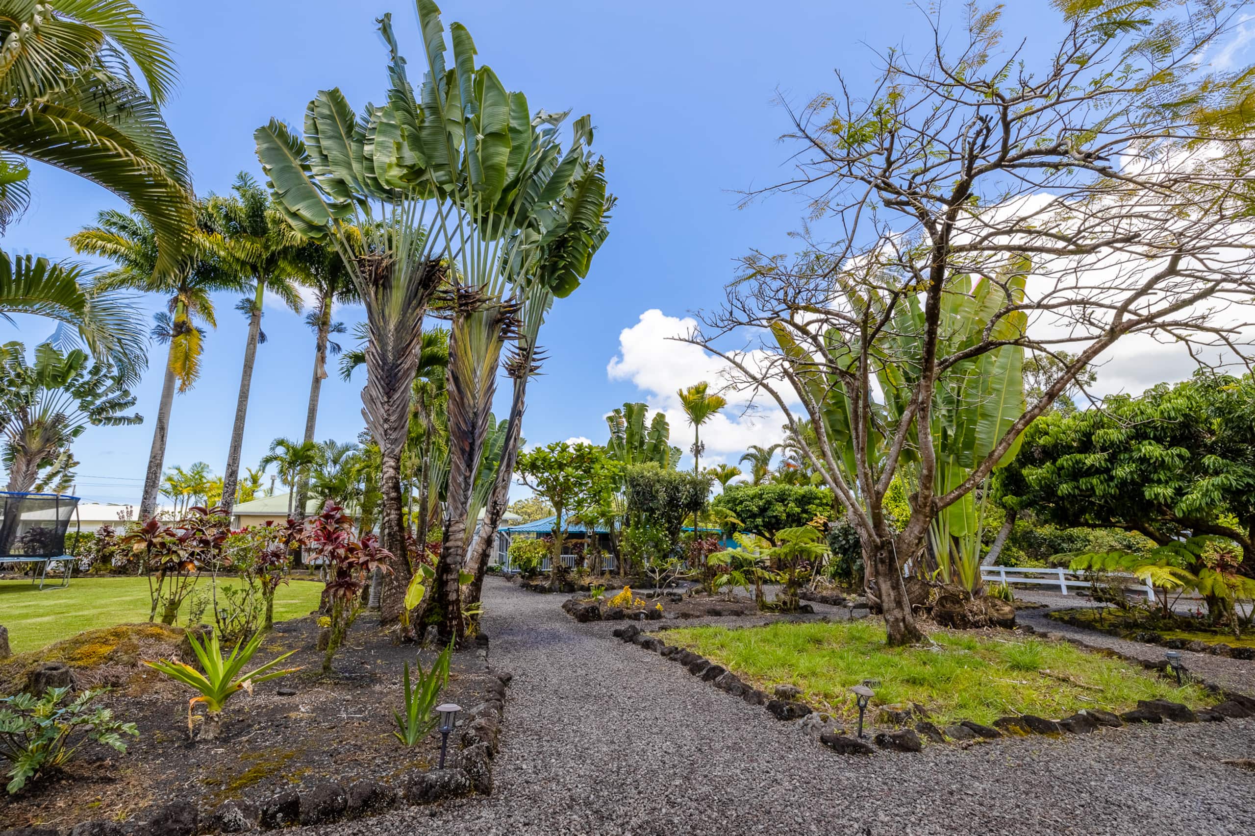 Home in Hilo · ★4.98 · 1 bedroom · 2 beds · 1 bath - Image 27