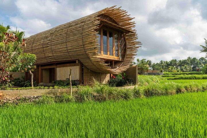 cylindrical villa surrounded by rice farms; kecamatan ubud, bali
