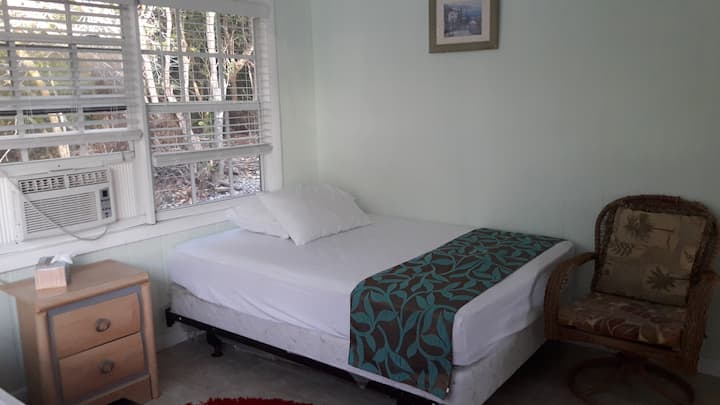 Habitación 1