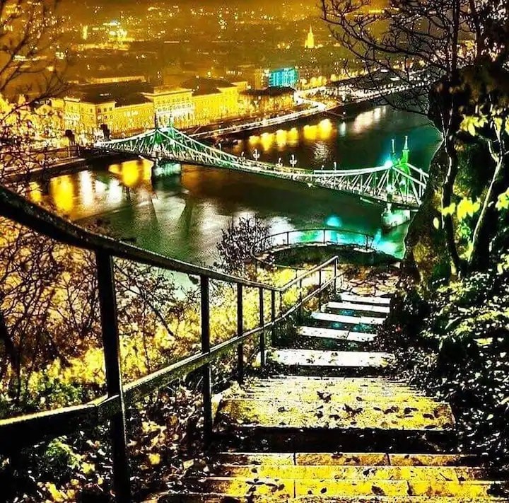 A view of a winding staircase descends toward the river, illuminated by city lights. The green bridge spans the water, reflecting warm hues. Trees and foliage frame the scene, creating a natural border around the urban landscape at night.