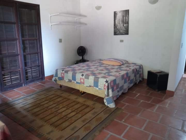 კაზალი + ბაკალავრი