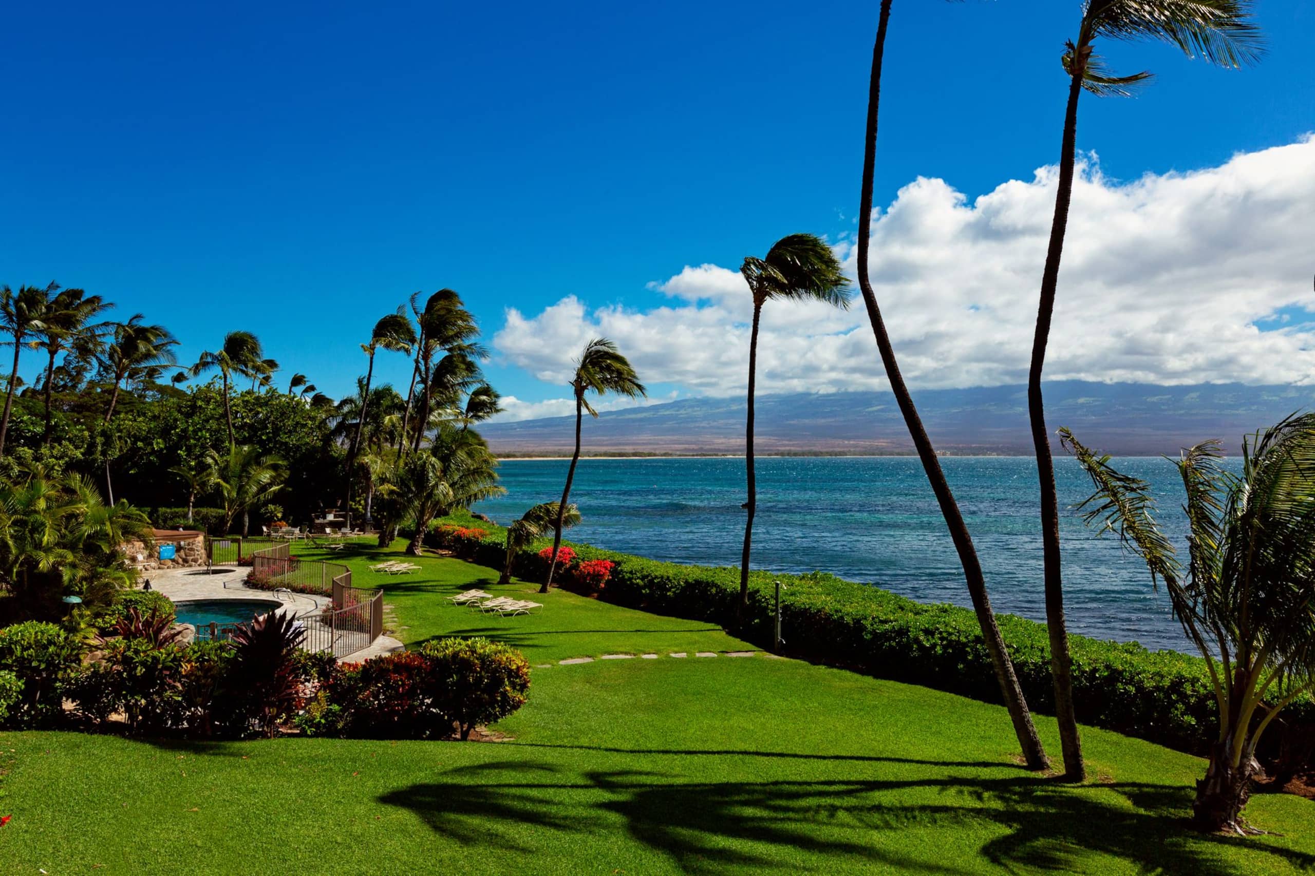 Condo in Maalaea · ★4.96 · 1 bedroom · 1 bed · 1 bath - Image 10