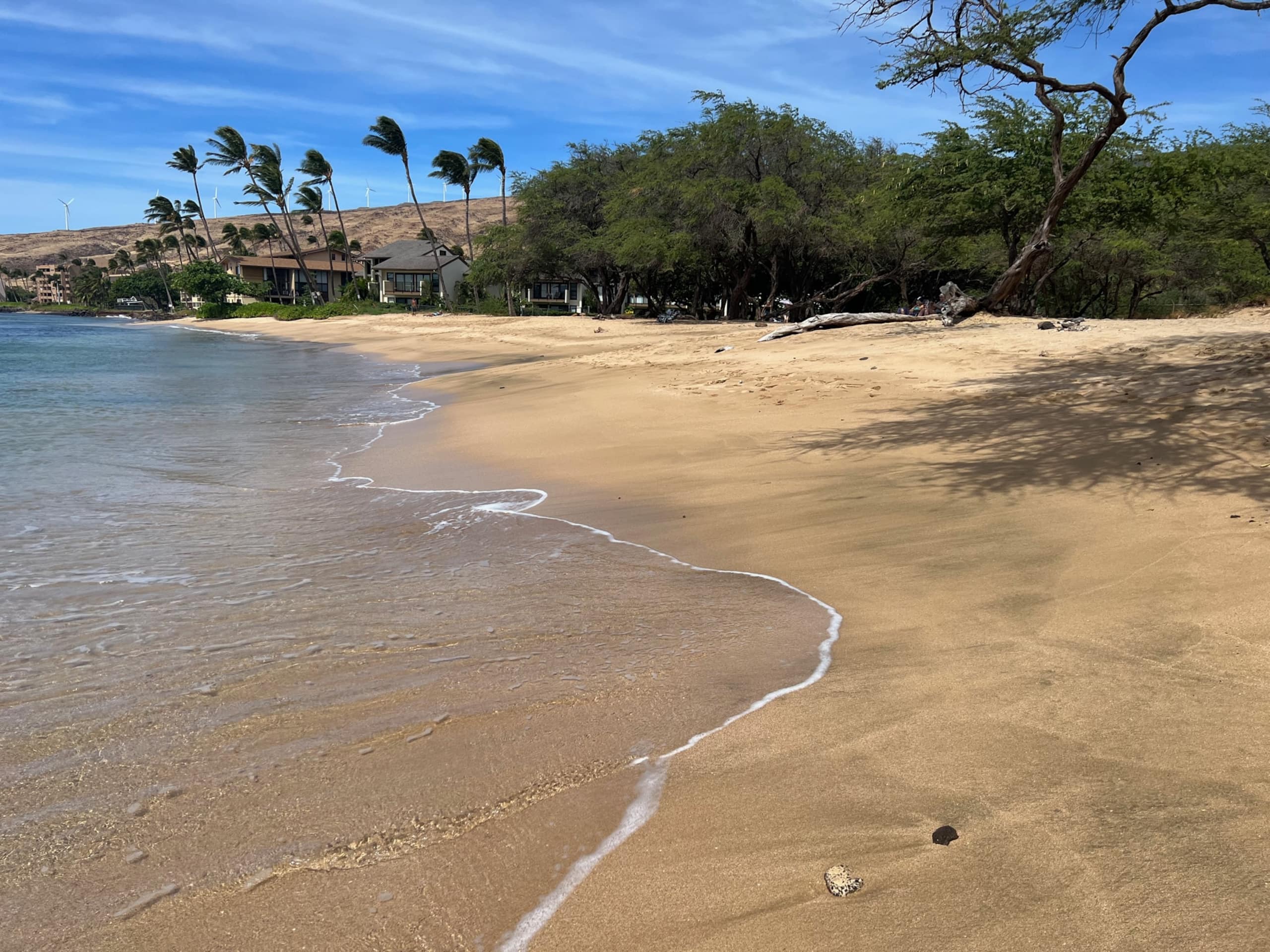 Condo in Maalaea · ★4.96 · 1 bedroom · 1 bed · 1 bath - Image 14