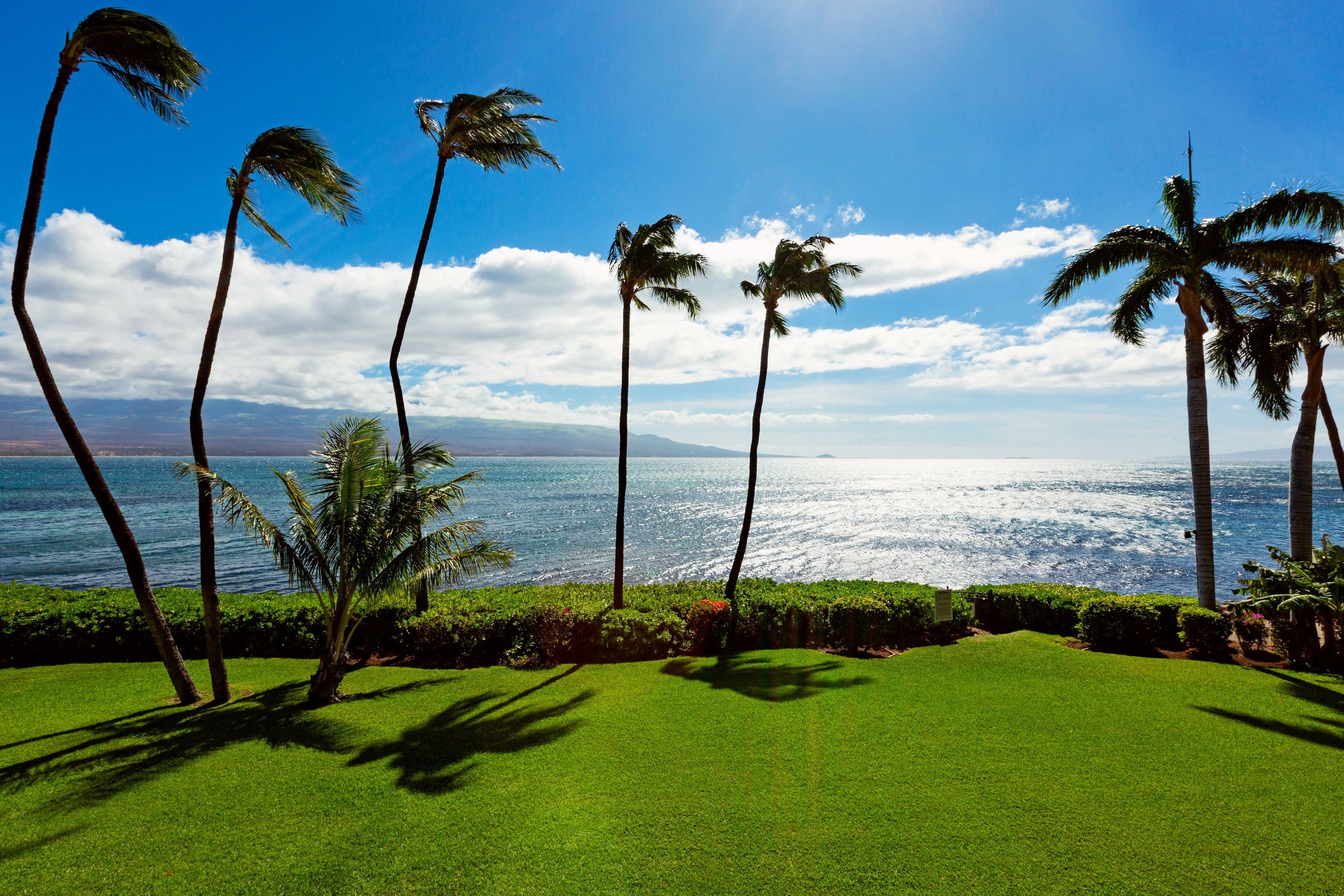 Condo in Maalaea · ★4.96 · 1 bedroom · 1 bed · 1 bath - Image 12
