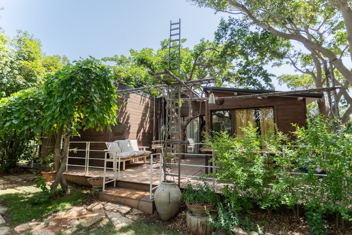 The exterior of the house is surrounded by lush greenery, showcasing a wooden structure with large windows. A wooden ladder leans against the side, providing access to the loft space. A covered deck features seating arrangements and is framed by vibrant plants.