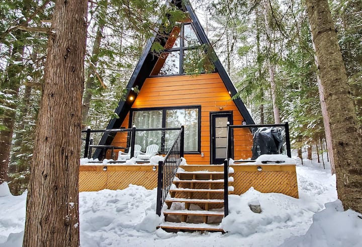 Algonquin park cottage cheap rentals pet friendly