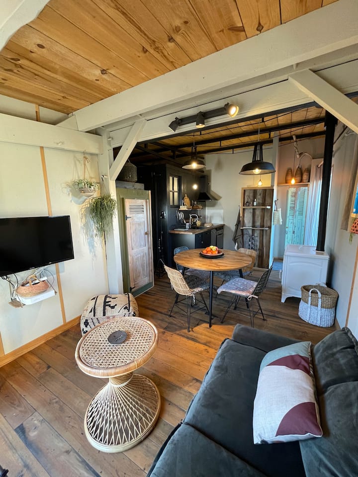 Bisca Plage (Centre) Loft Beach Superbe Terrasse - Biscarrosse