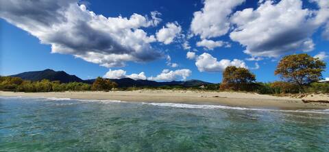 Small beachfront villa