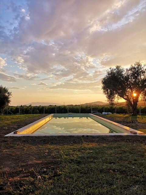 Casale degli Ulivi, Capalbio, Italy