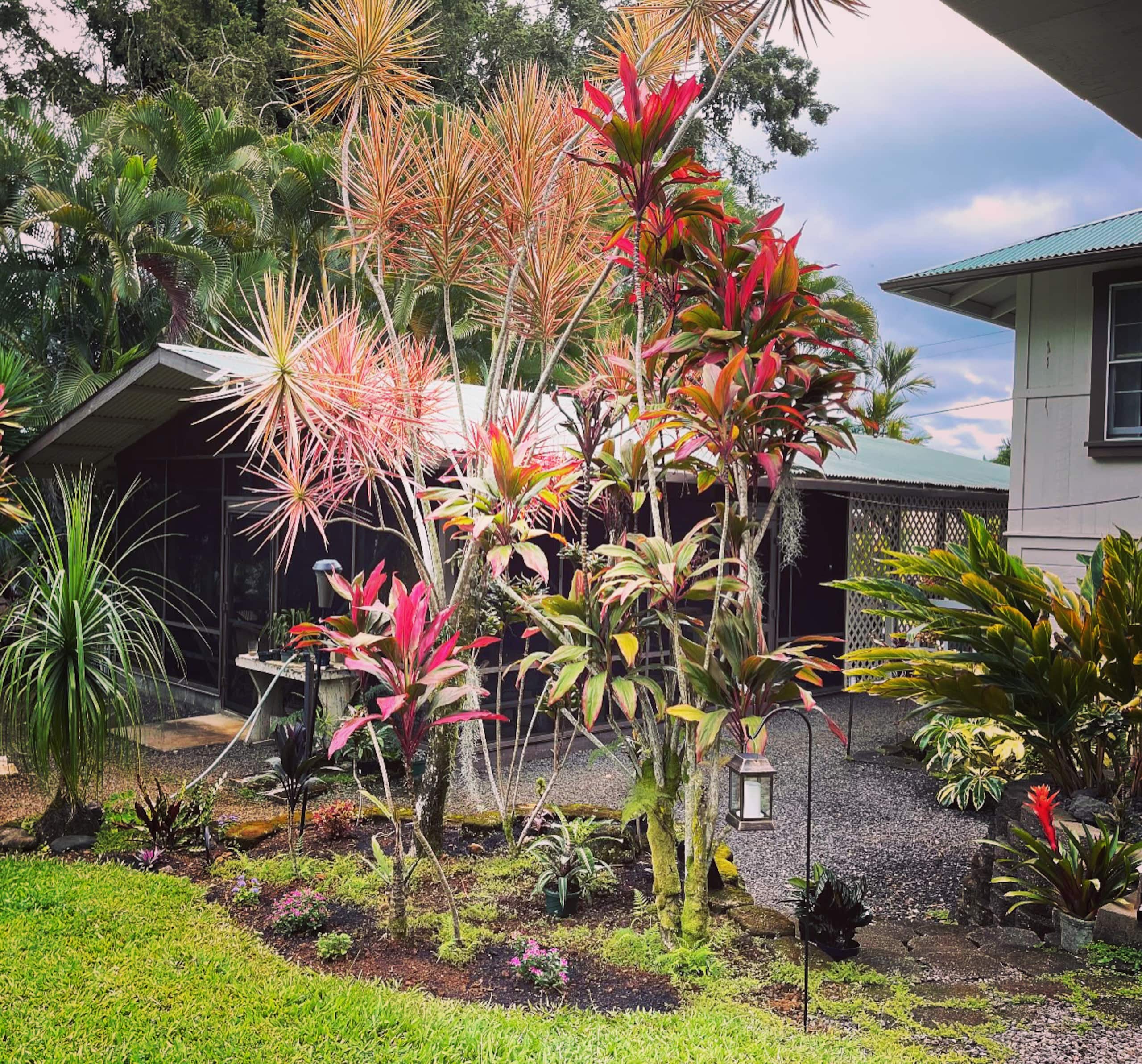 Home in Hilo · ★4.93 · 3 bedrooms · 3 beds · 2 baths - Image 7