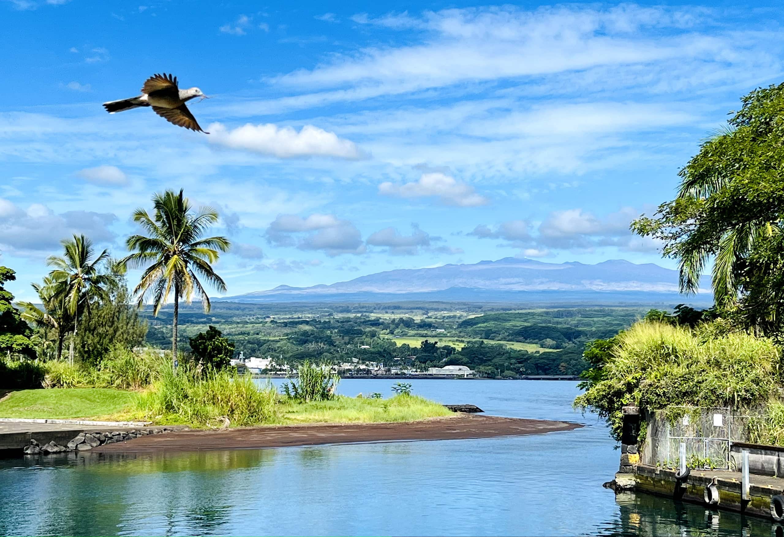 Home in Hilo · ★4.93 · 3 bedrooms · 3 beds · 2 baths - Image 8
