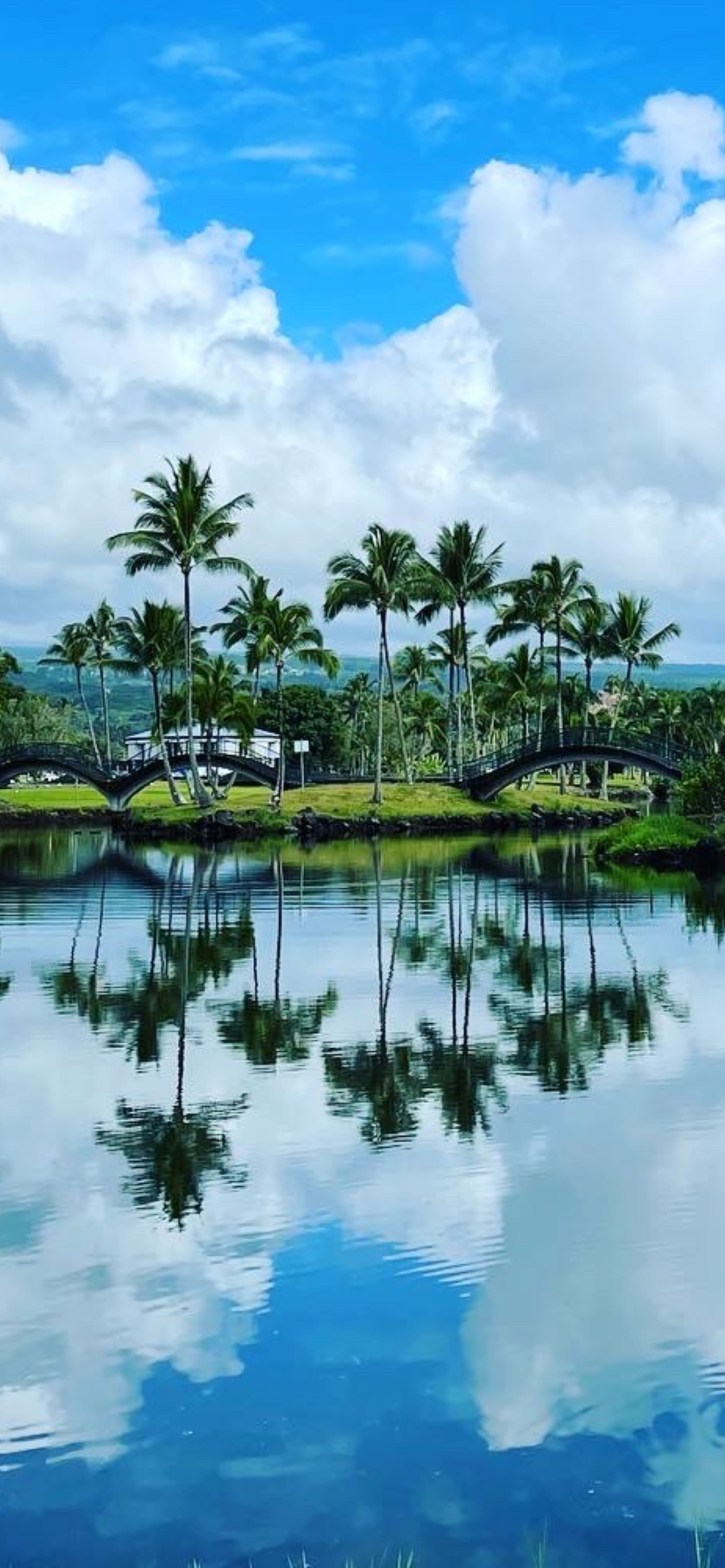 Home in Hilo · ★4.93 · 3 bedrooms · 3 beds · 2 baths - Image 10