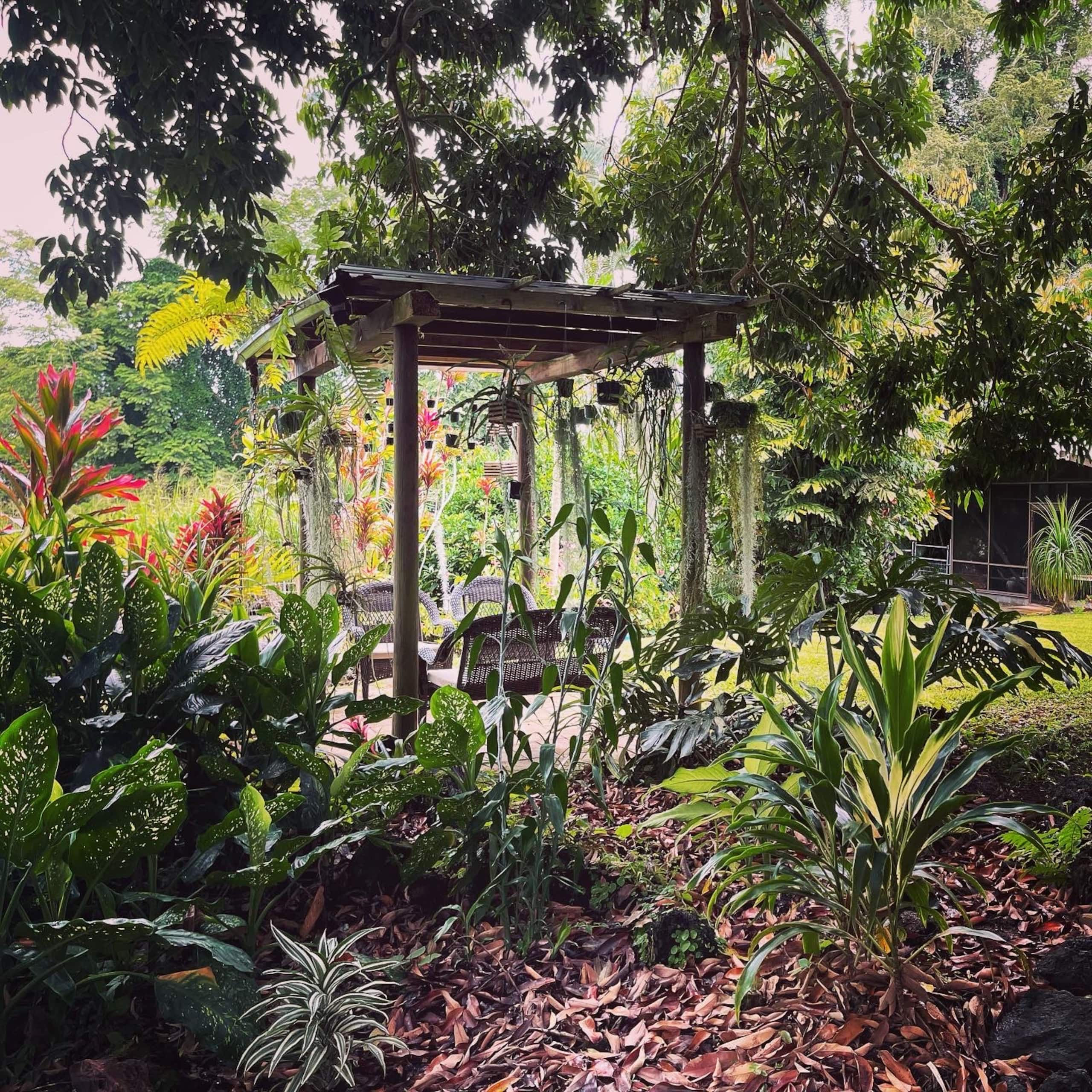 Home in Hilo · ★4.93 · 3 bedrooms · 3 beds · 2 baths - Image 4