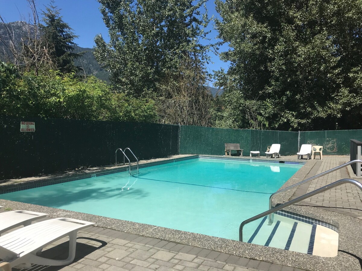 An outdoor pool is set against a backdrop of green foliage and tall trees. Sunlight reflects off the clear water, with white lounge chairs positioned near the pool's edge. A fence surrounds the area, providing privacy.