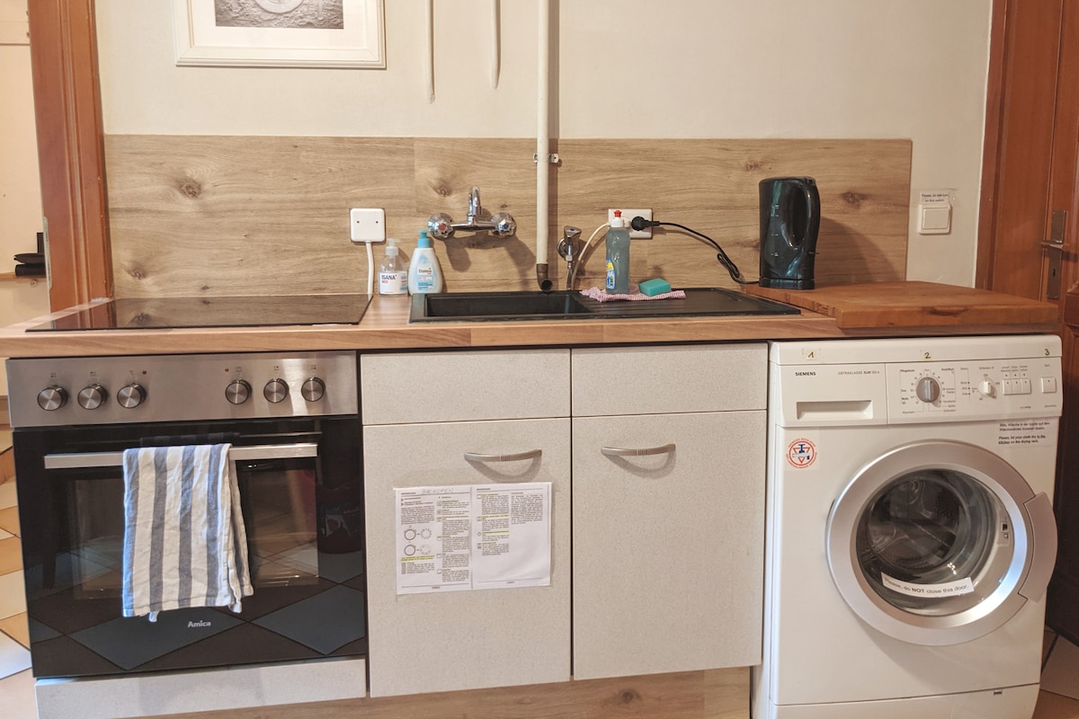 A functional kitchenette is depicted, featuring a modern oven with a stovetop, a sink, and a washing machine. Minimalist cabinetry in light and dark tones provides storage. Essential cleaning supplies are arranged neatly on the countertop, illustrating a practical cooking space.