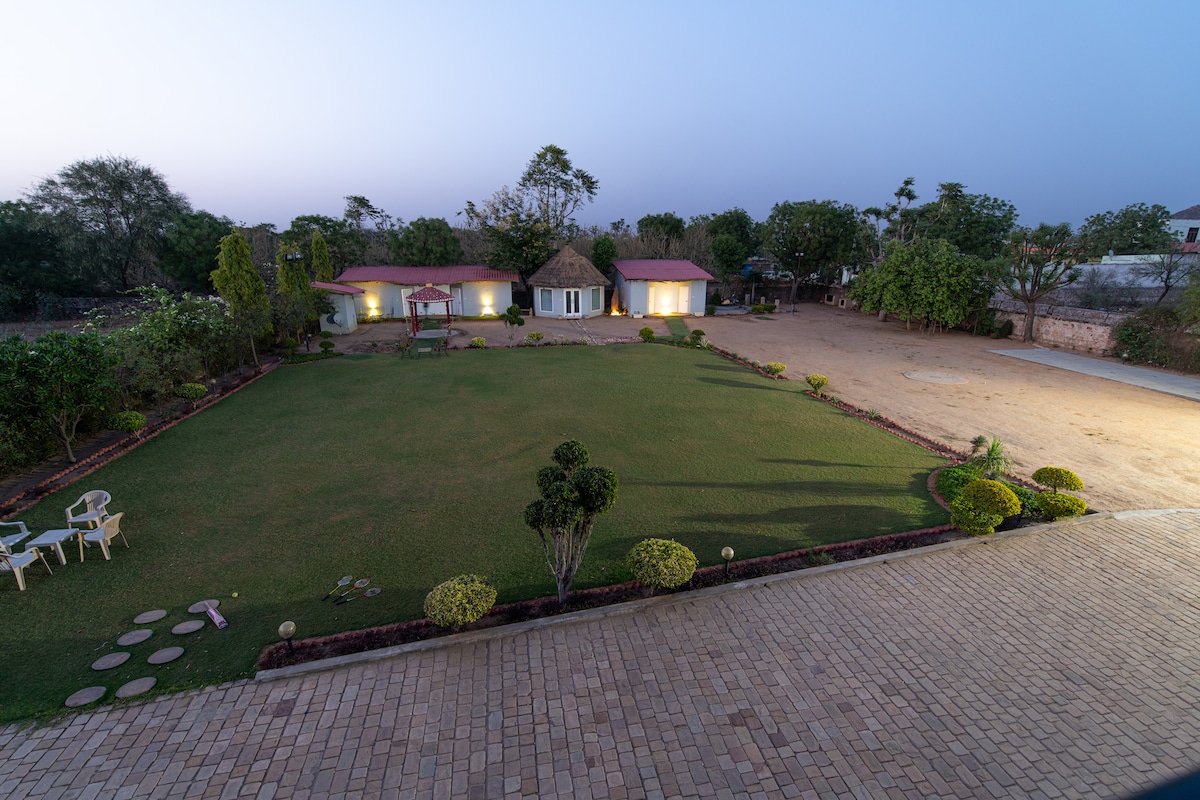 A spacious garden area is surrounded by well-maintained greenery and seating arrangements. Two modern cabins with illuminated exteriors are visible in the background, while a gravelled pathway leads towards the foreground. Soft lighting enhances the serene evening atmosphere.