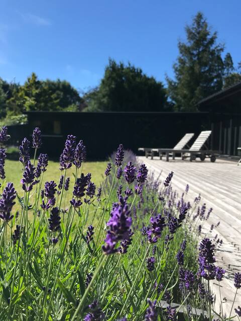 Find peace in the forest & large garden, close to Liseleje
