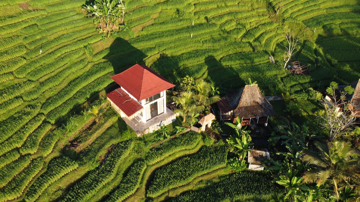 An aerial view captures two traditional houses among lush green rice fields, illustrating the unique landscape of Sidemen. One house features a red roof and a spacious terrace, while the other is smaller with a thatched roof, both surrounded by vibrant fields and palm trees.