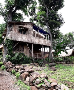 El+Bamboo+Tree+house