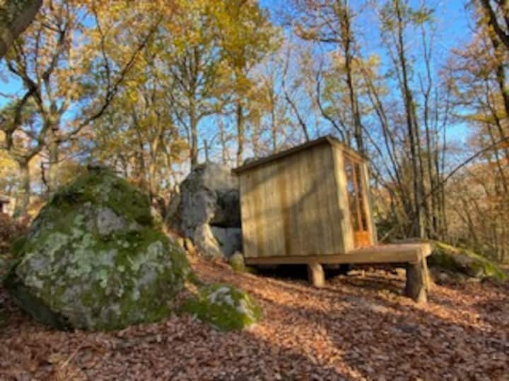 ห้องมินิเคบินกลางแจ้งพร้อมวิว (พฤษภาคม - ตุลาคม)