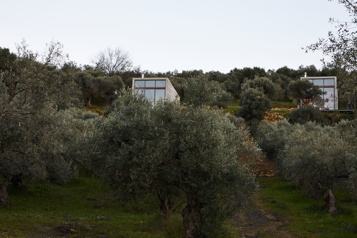 Cabanon Concrete Retreat — photo 5