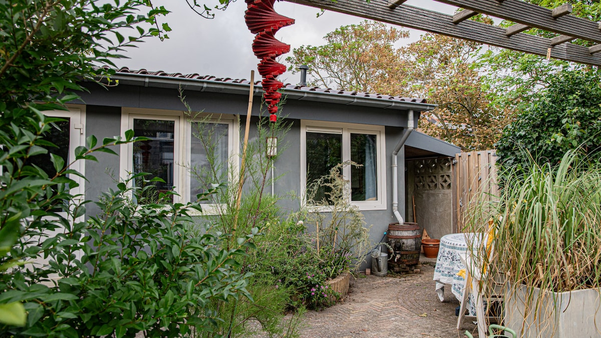 A grey holiday house is framed by greenery, showcasing large windows that invite natural light. A small outdoor table is visible, surrounded by vibrant plants and decorative elements. The pathway leads to a sheltered side area, enhancing the house's charm.