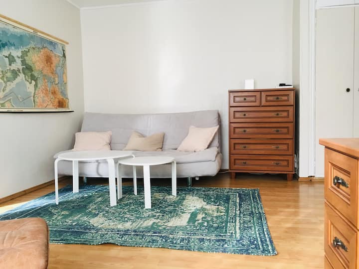 Peaceful Central Flat Next To Bus Terminal - Tallinn