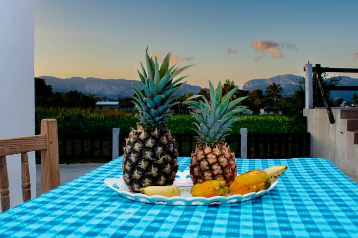 Casa 2 Sonrisas - Viñales