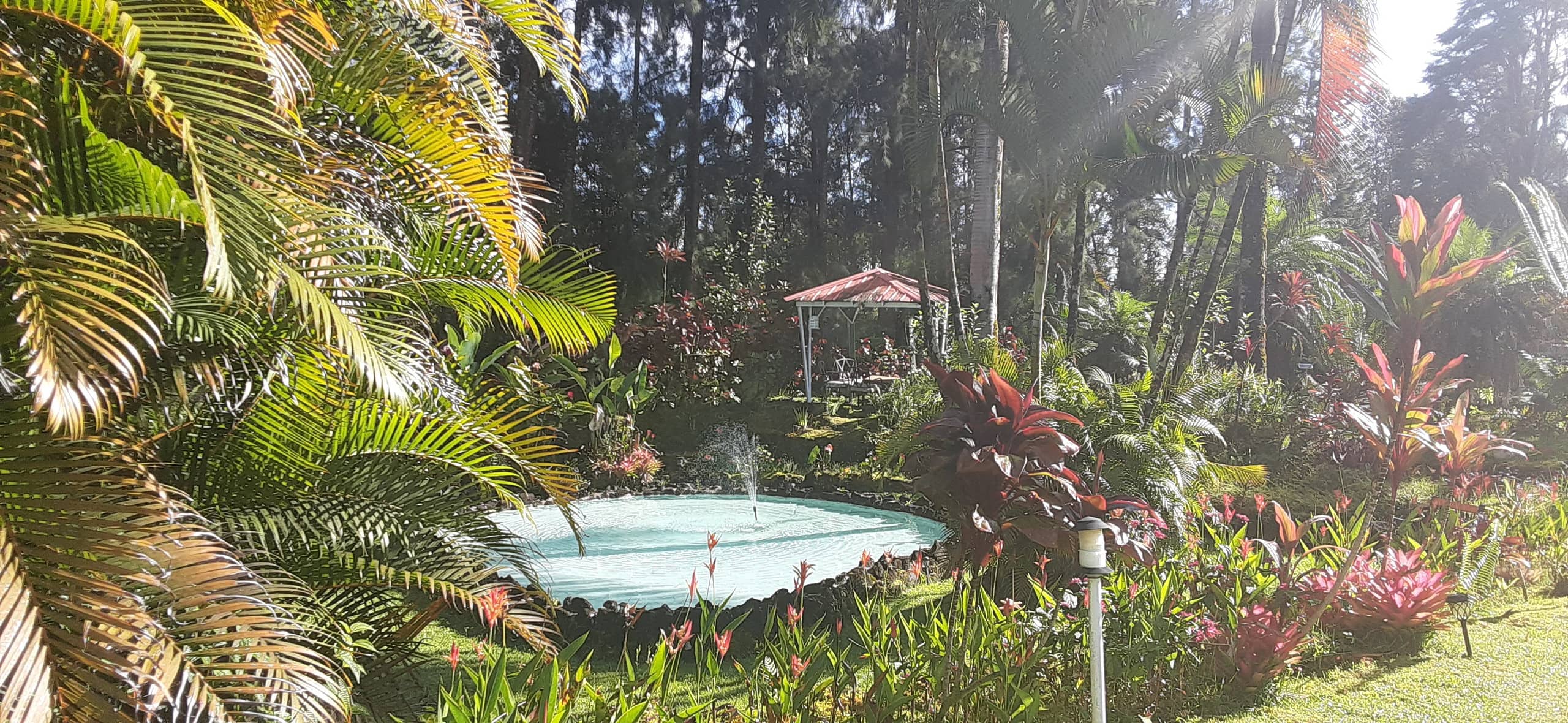Fern Acres B&B - Photo 62