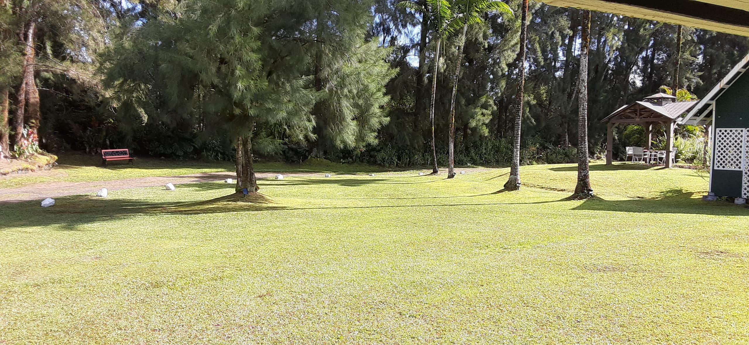 Fern Acres B&B - Photo 56