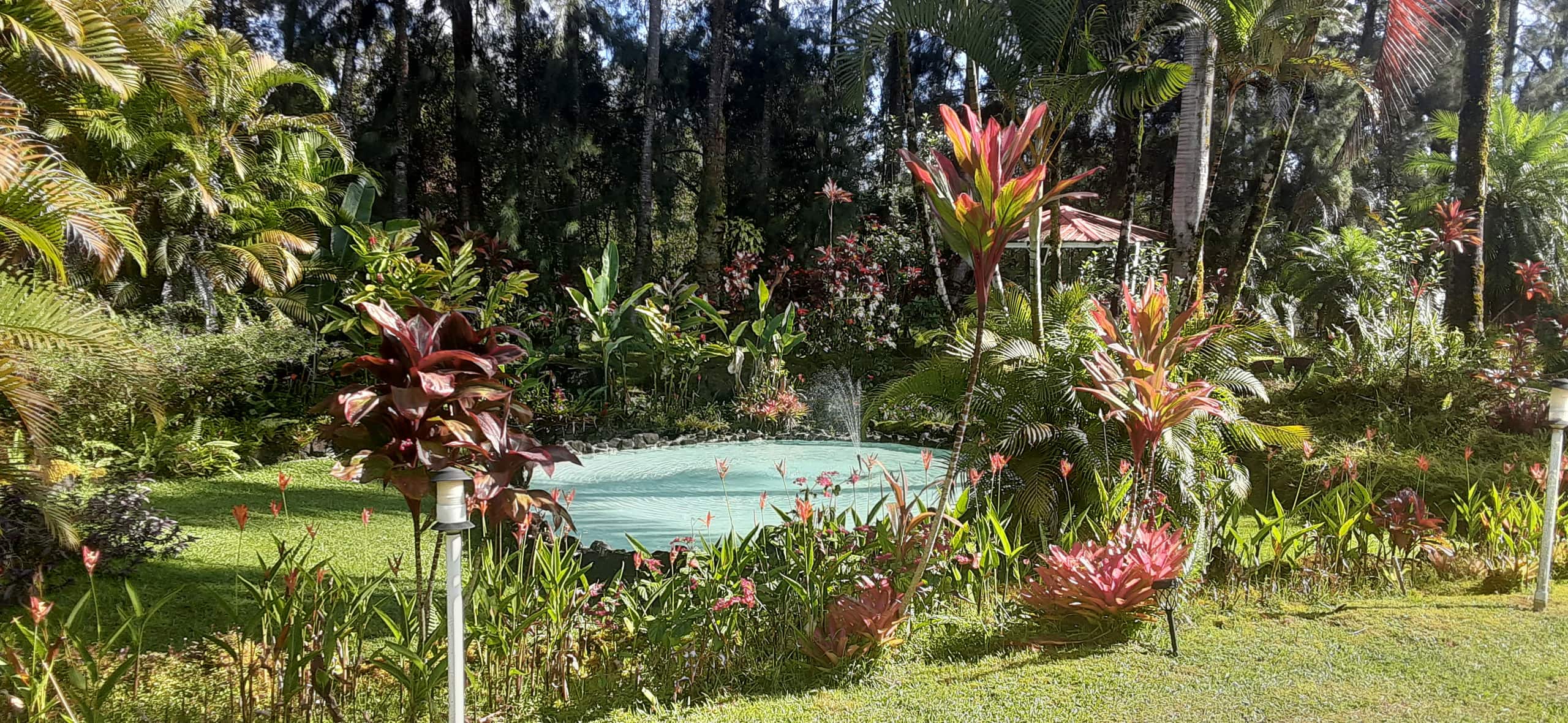 Fern Acres B&B - Photo 65