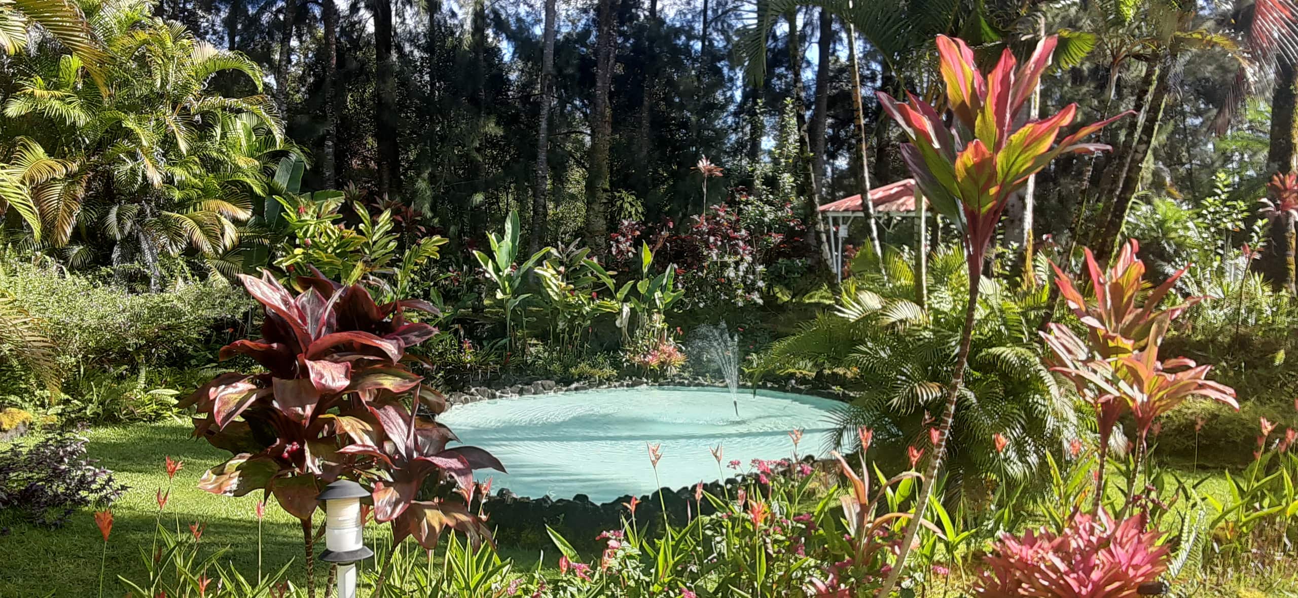 Fern Acres B&B - Photo 59