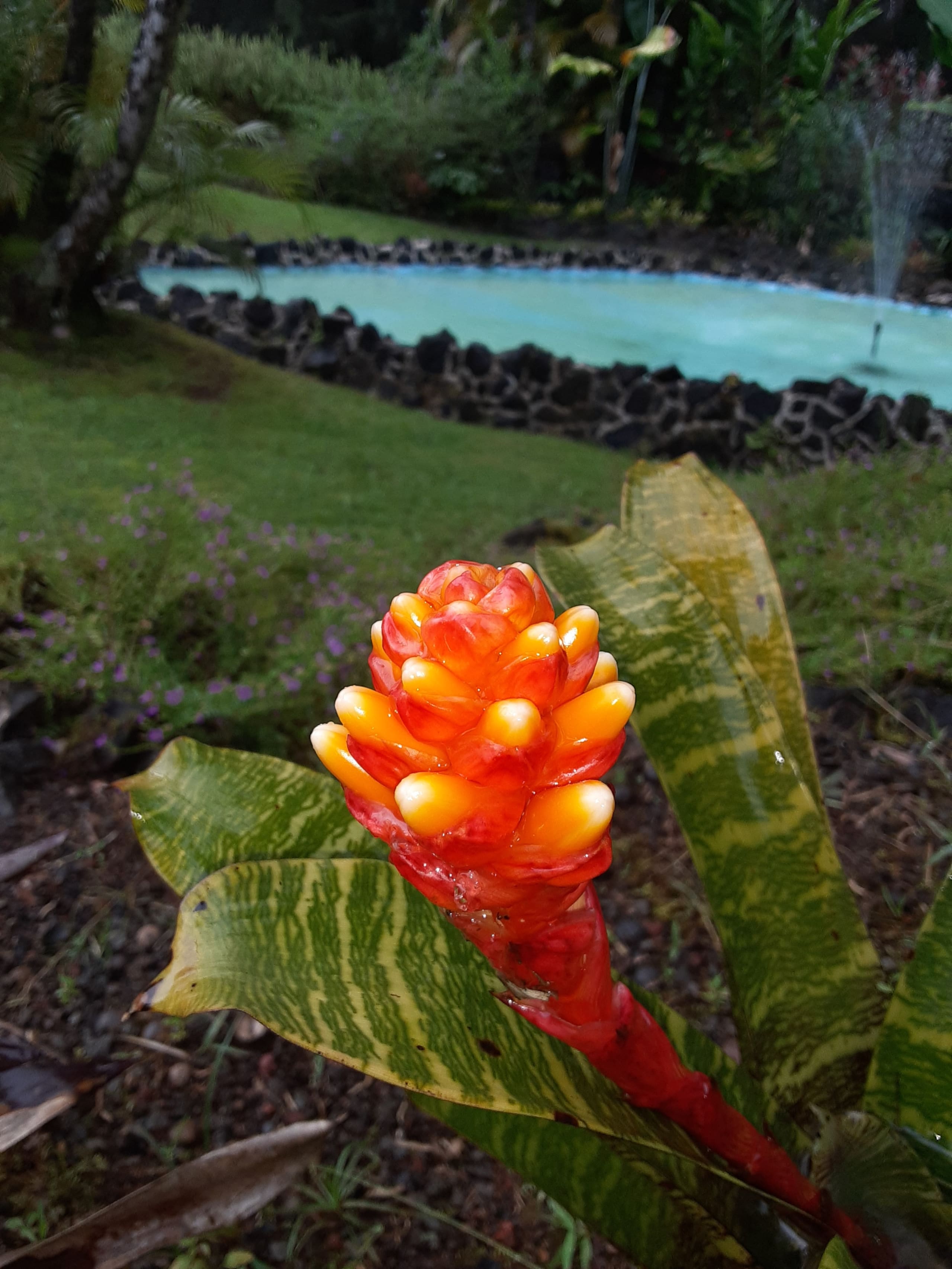 Fern Acres B&B - Photo 63