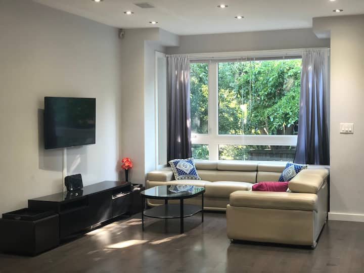 Brand New Modern Toronto House - Toronto