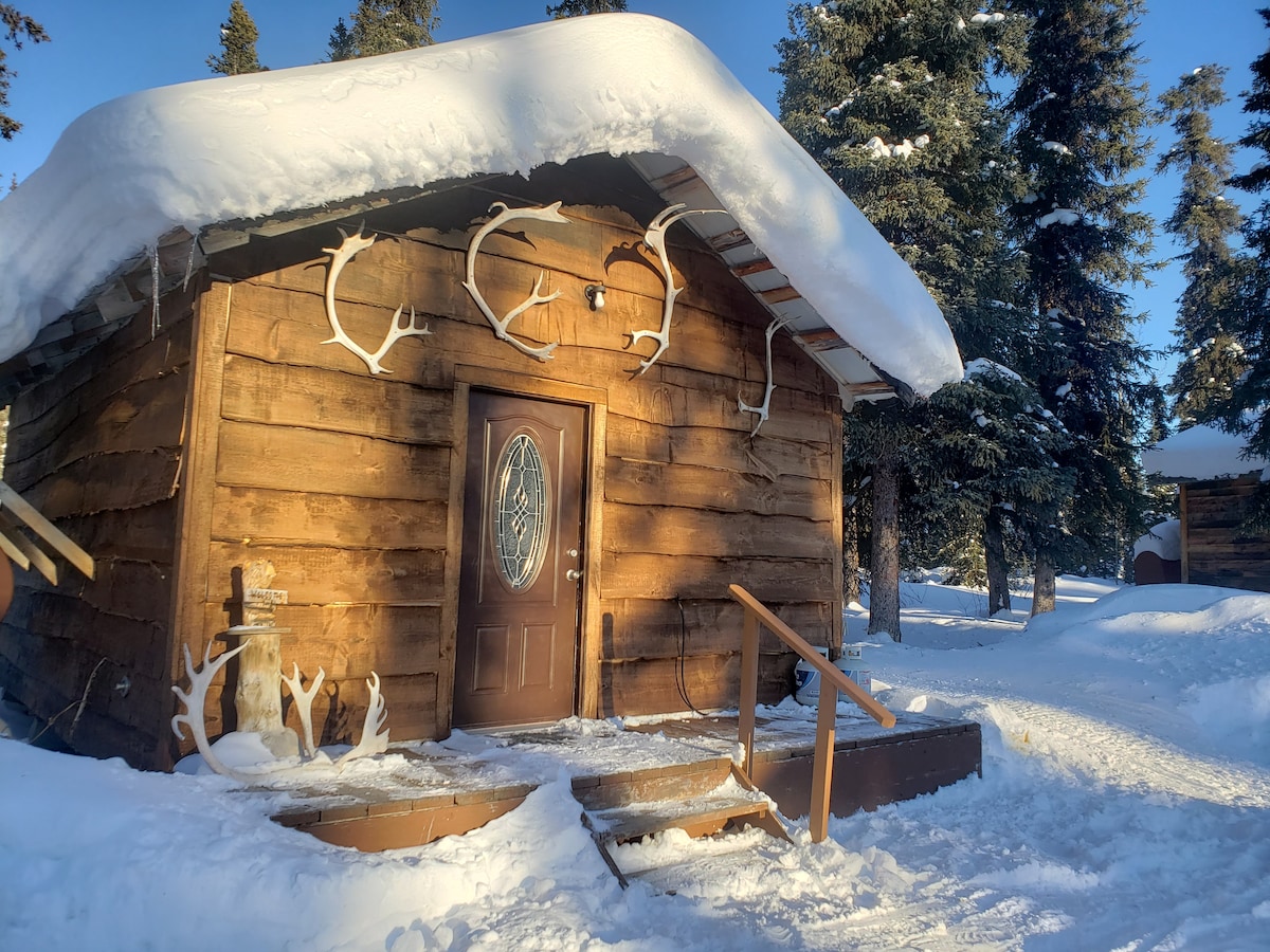 A rustic log cabin is nestled in a snowy landscape, featuring a distinctive entryway with a decorative glass door. Antlers are mounted above the entrance, and a wooden walkway leads to the cabin, surrounded by towering evergreen trees blanketed in snow.