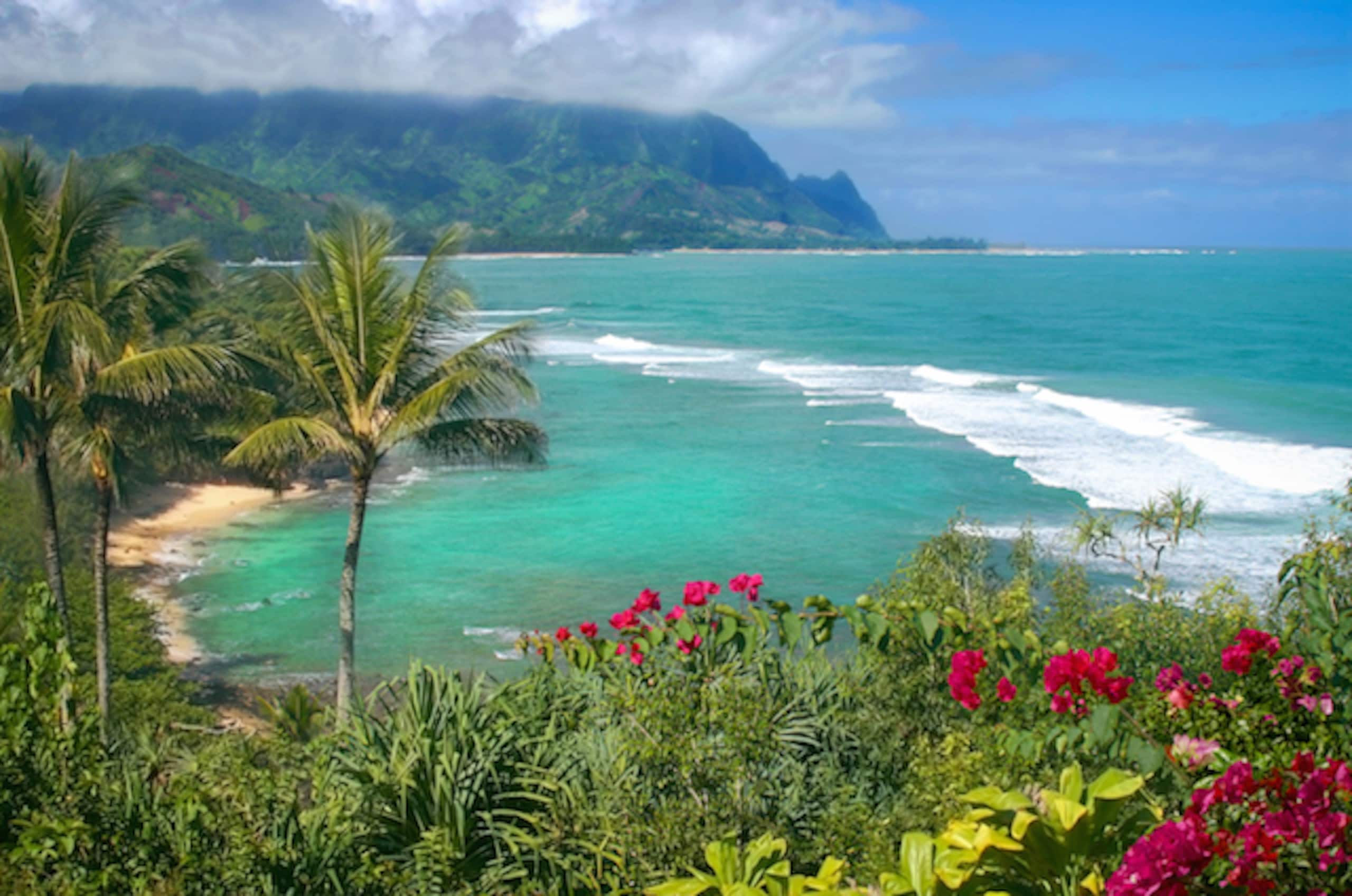North Shore Sweet Spot - Image 13