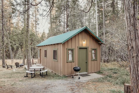 Sweet Little Cabin in the Forest