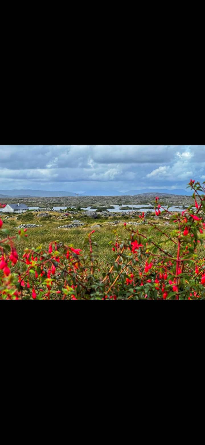 Bright and spacious modern home Radharc na locha Houses for Rent in