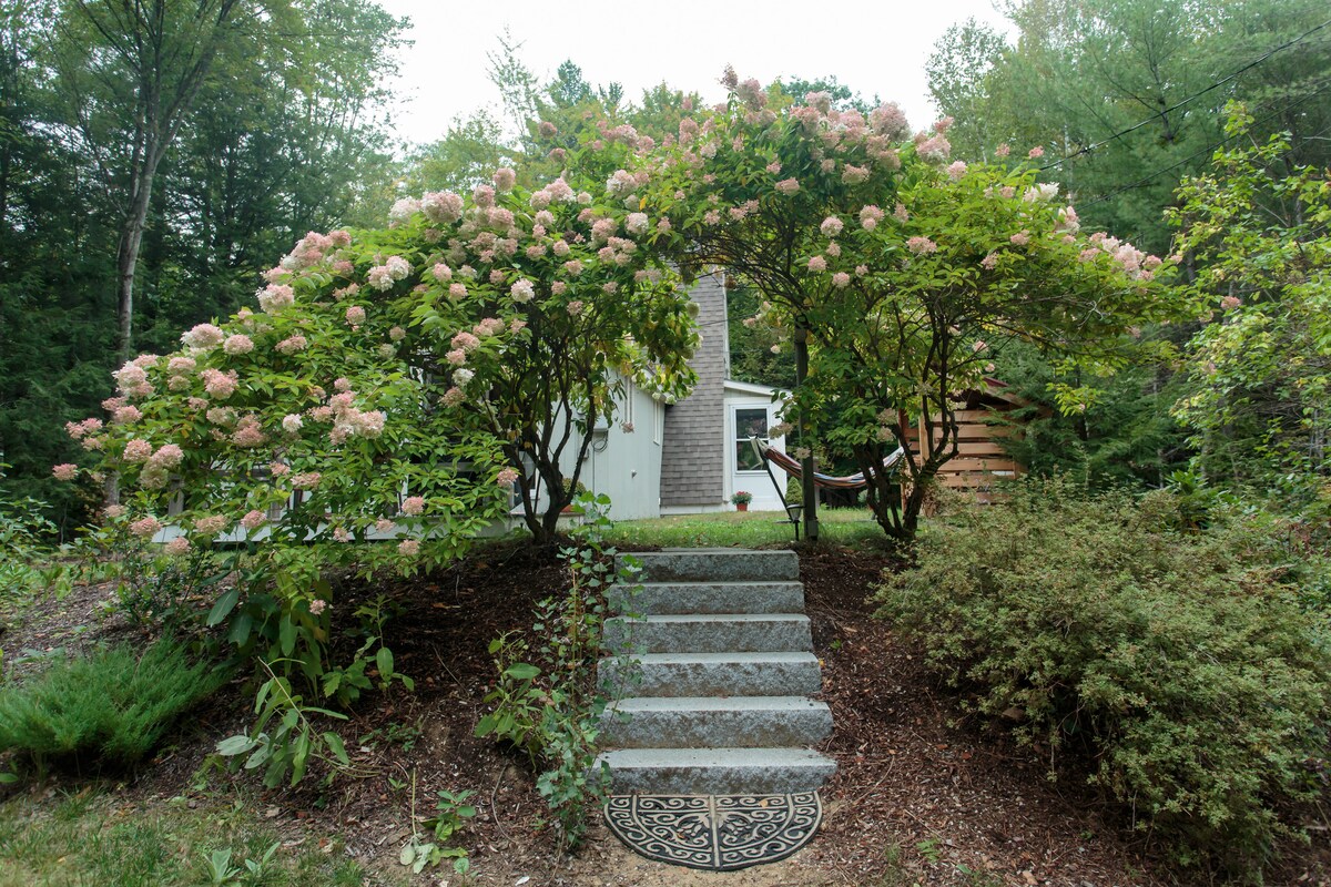 A stone pathway leads to a charming A-frame home nestled among lush greenery. Flanking the path, flowering shrubs provide a natural canopy. The front steps are bordered by manicured landscaping, creating an inviting entrance to the residence.