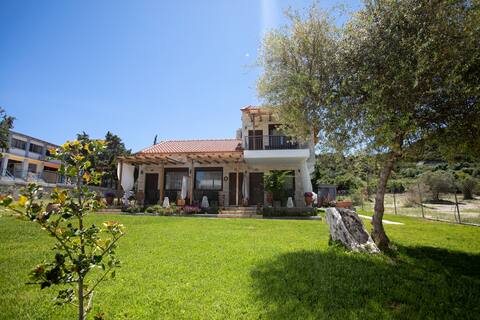Agrielia Studio