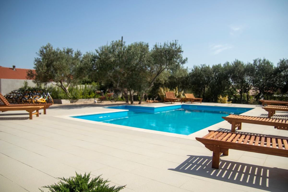 A rectangular swimming pool is surrounded by wooden lounge chairs, providing ample space for relaxation. Olive trees offer shade in the background, while a paved area extends around the pool, creating a welcoming outdoor environment. The clear blue sky enhances the tranquil setting.
