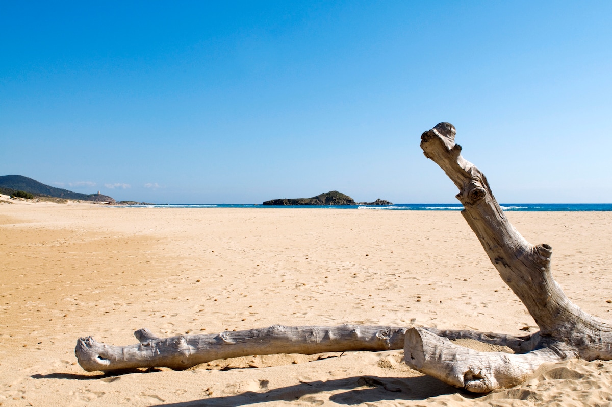 A sandy beach stretches towards the horizon, with gentle waves lapping the shoreline. A weathered driftwood log lies on the golden sand, contrasting with the vivid blue sky above and the distant island visible on the water's edge.
