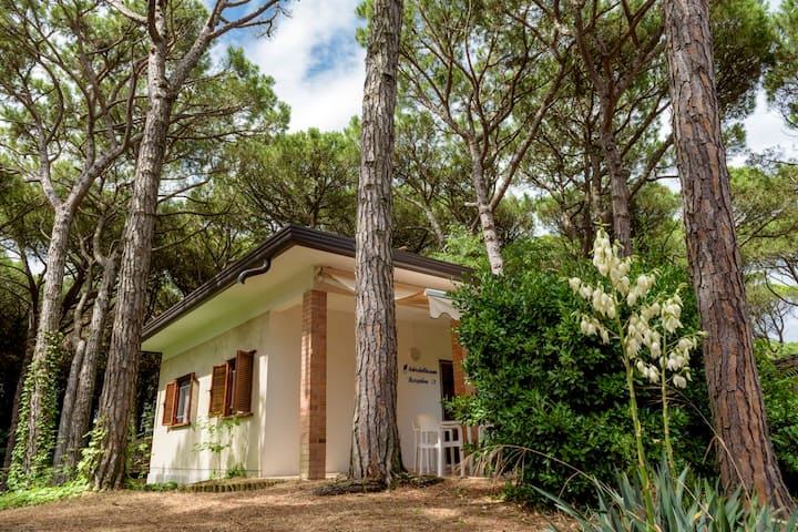 Beach Bungalow Classic