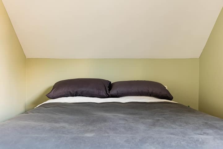 Habitación 1